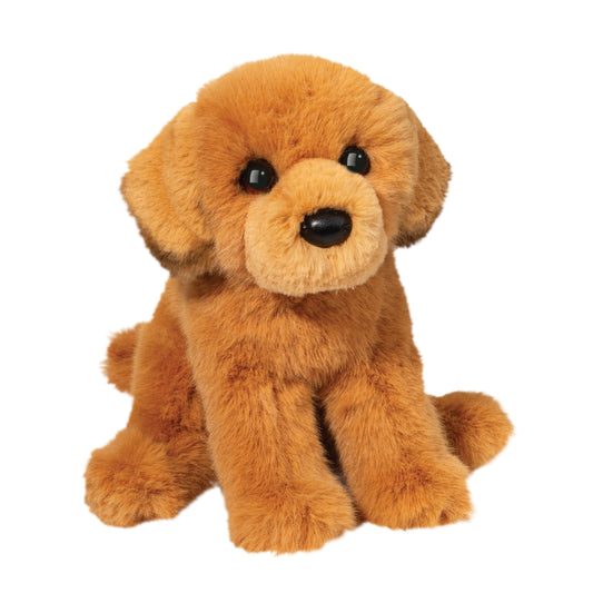 August Golden Retriever