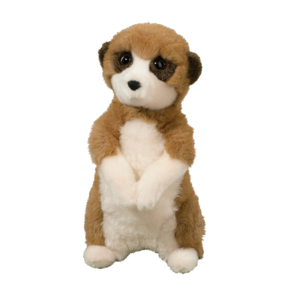 Meerkat - Enzo