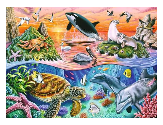 Beautiful Ocean 100 Pc