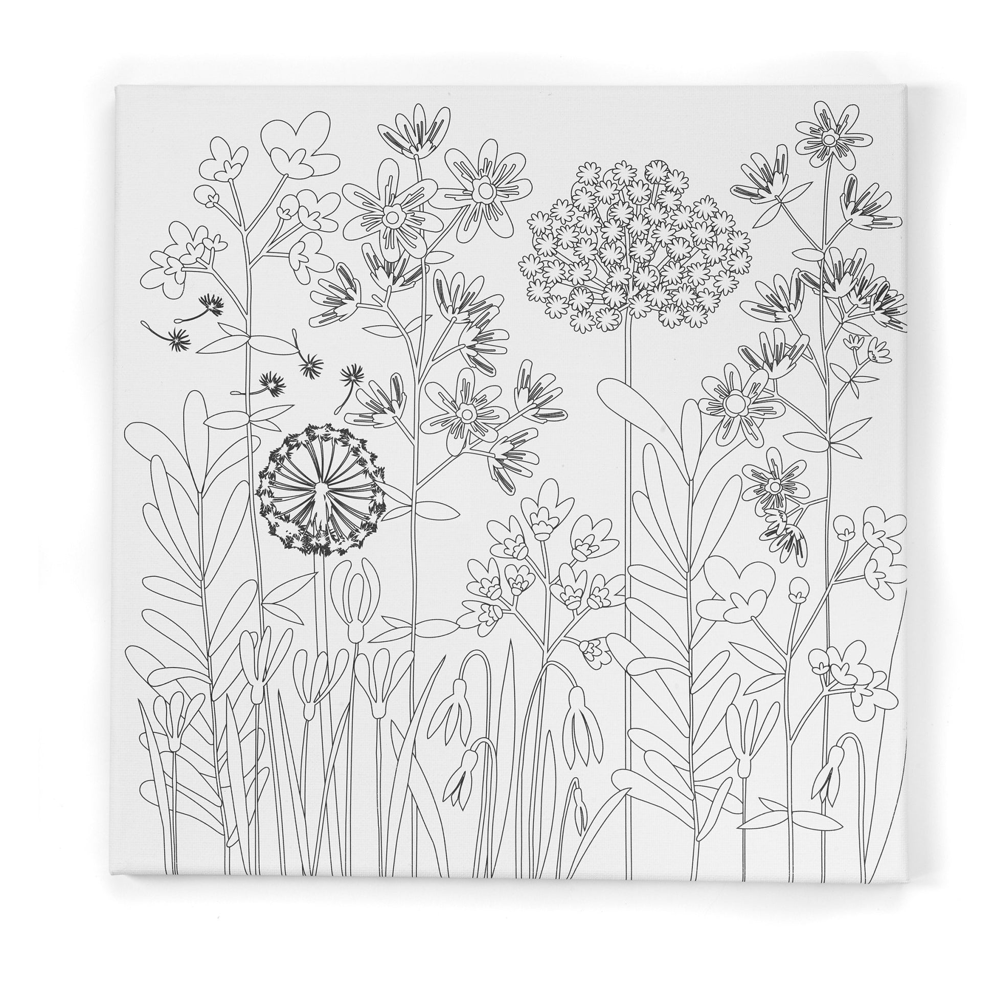 Watercolor Paint by Number Farm House