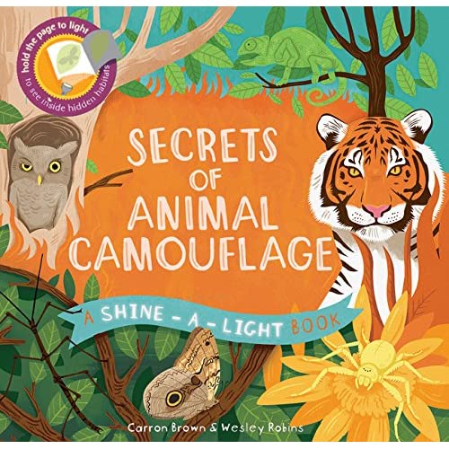 Secrets Animal Camouflage Book