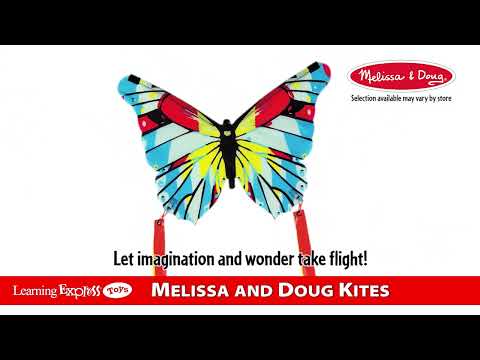 Beautiful Butterfly Kite