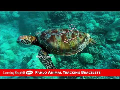 * Crystal Blue Turtle Bra