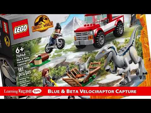 Blue & Beta Velociraptor