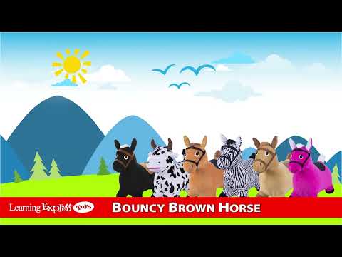 Bouncy Brown Horse