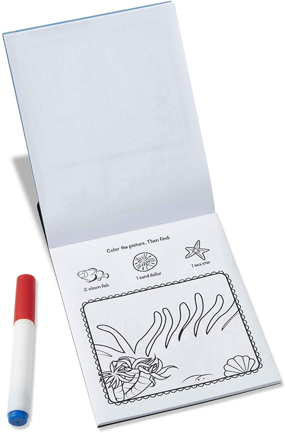 Colorblast  Sea Life