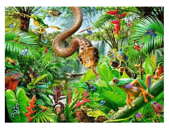 Reptile Resort 300 Pc