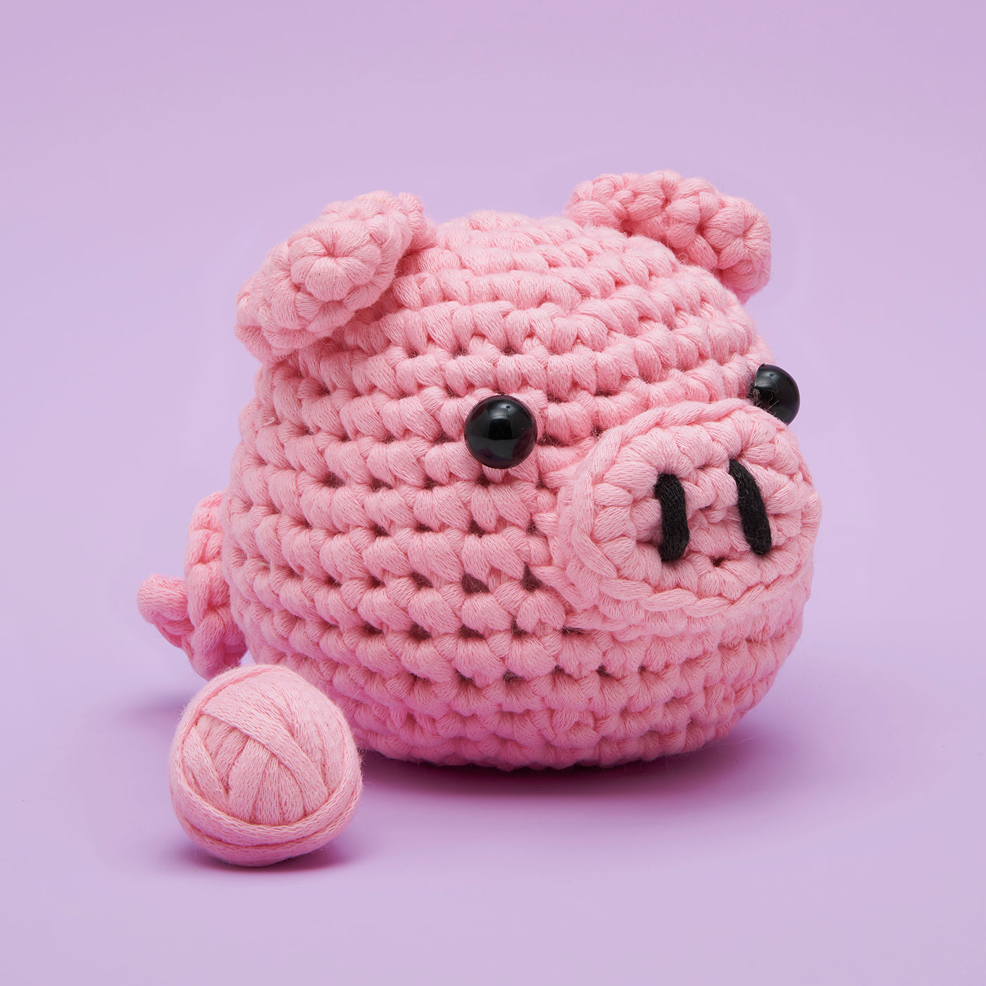 Bacon the Pig