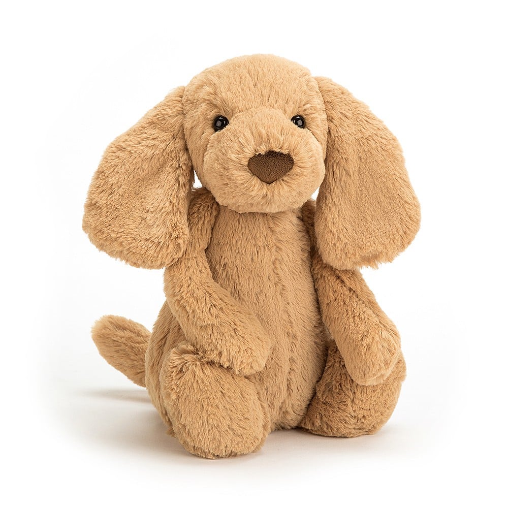 Bashful Puppy Med 12in
