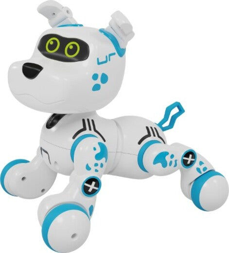 Buddy Bot