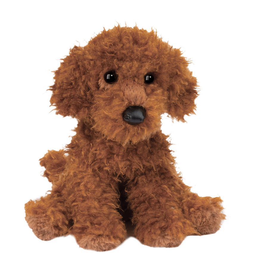 Ginger Miniature Poodle