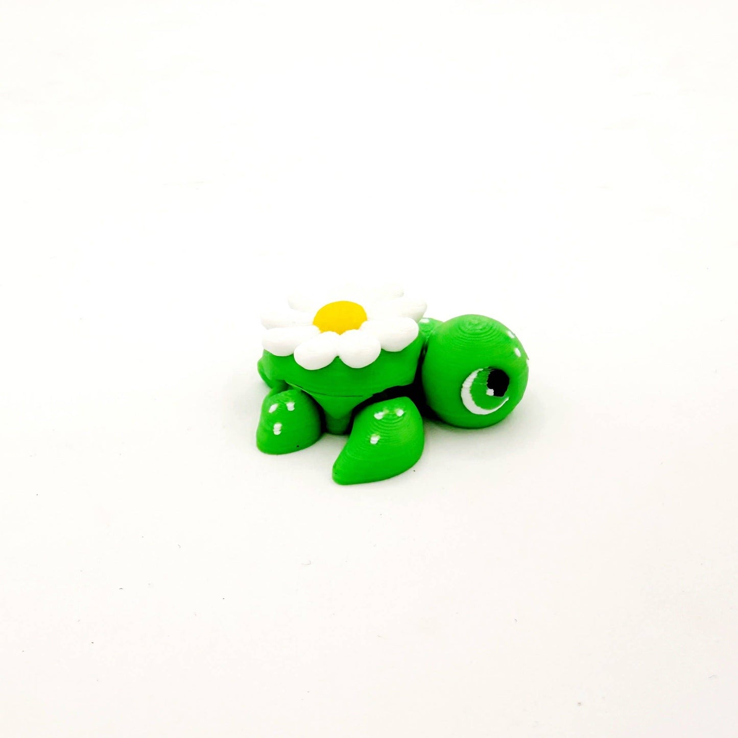 Mystery Mini Turtle Eggs