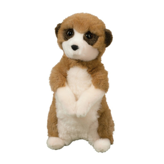 Meerkat - Enzo