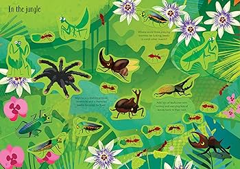 First Sticker Book Bugs