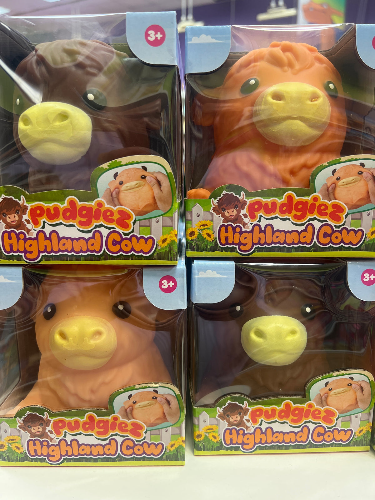PUDGIEZ HIGHLAND COW