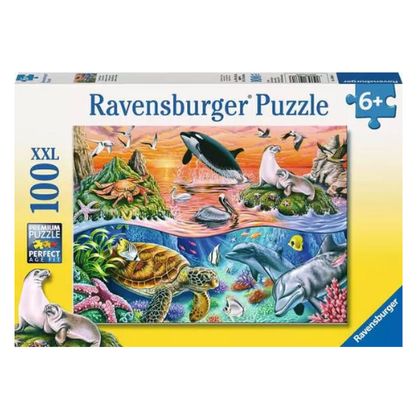 Beautiful Ocean 100 Pc