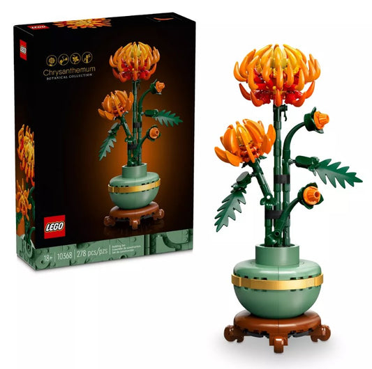 Chrysanthemum Botanical