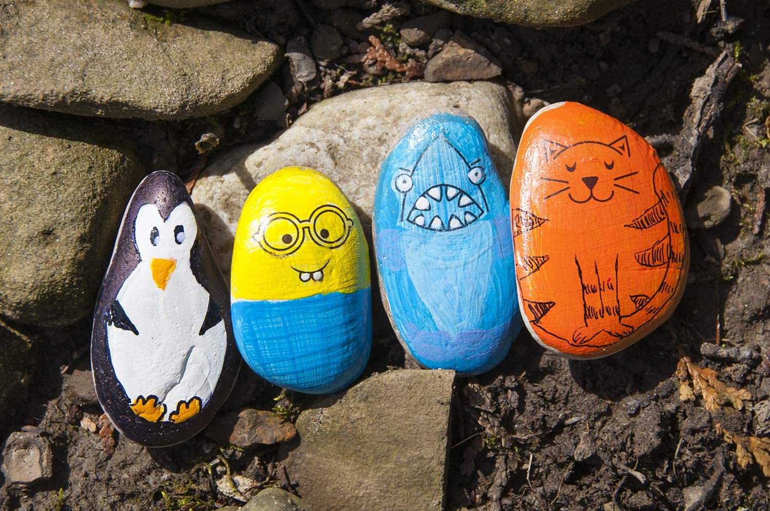 Hide Seek Rock Painting