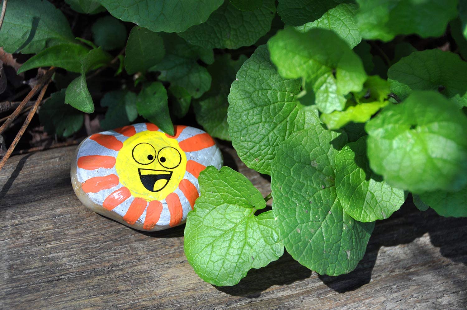 Hide Seek Rock Painting