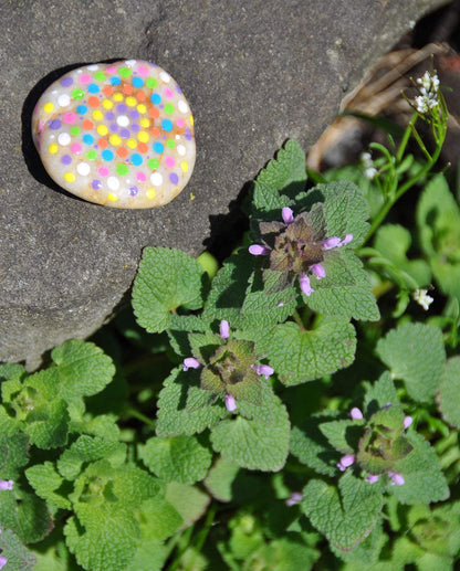Hide Seek Rock Painting