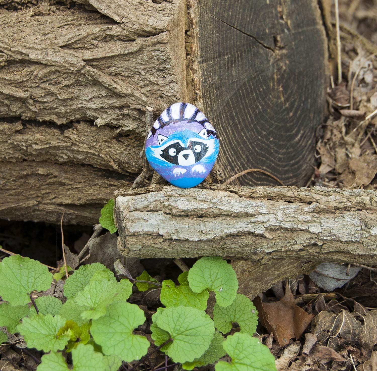 Hide Seek Rock Painting
