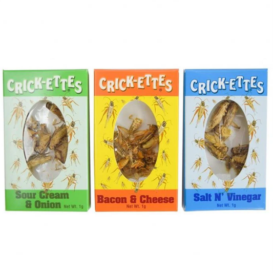 Crickettes