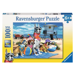 No Dogs on Beach 100 Pc