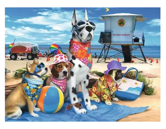 No Dogs on Beach 100 Pc