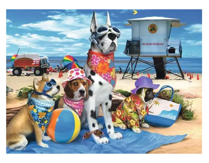 No Dogs on Beach 100 Pc