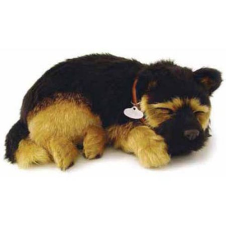 German Shepherd Breathing