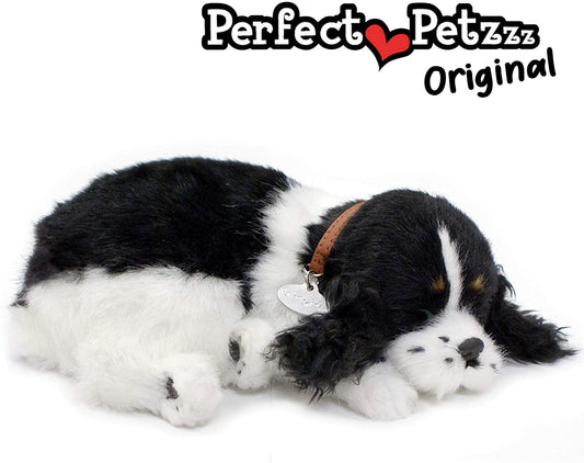 Cocker Spaniel
