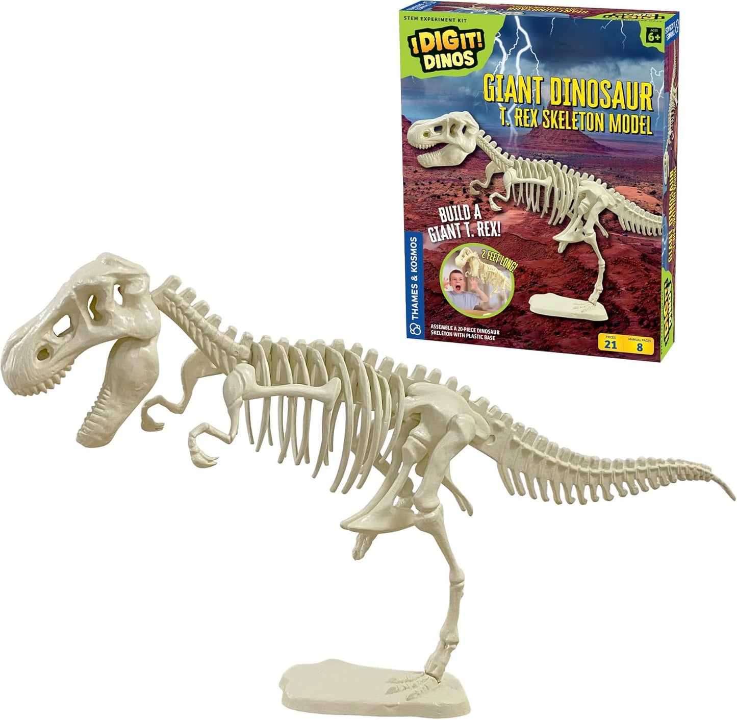 Giant Dinosaur Skeleton