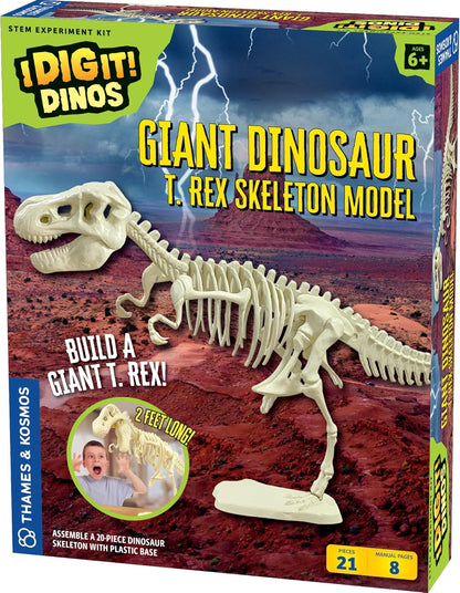 Giant Dinosaur Skeleton