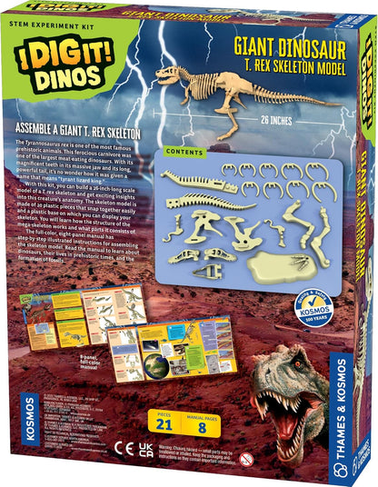 Giant Dinosaur Skeleton