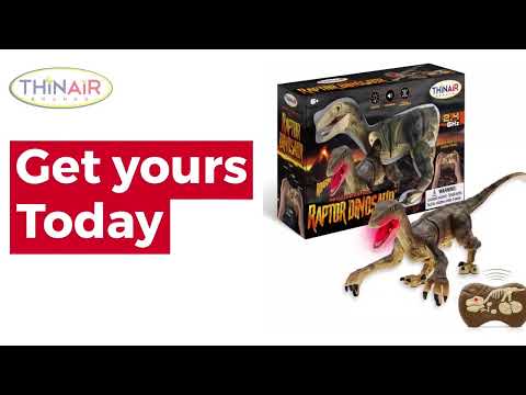 Rc Raptor Dinosaur