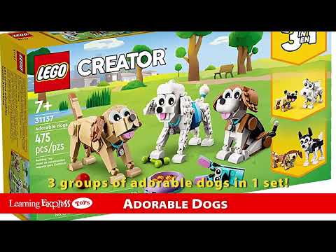 Adorable Dogs