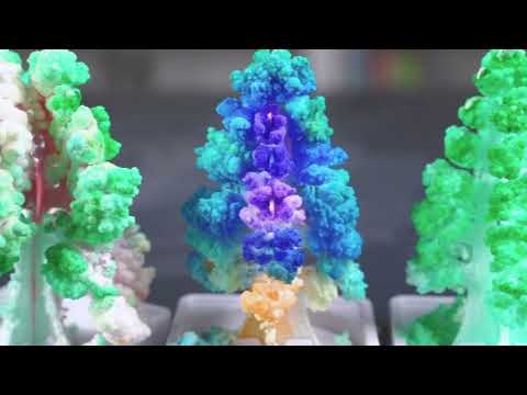 Ng Crystal Garden