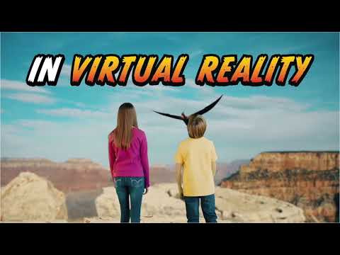 VR Human Body