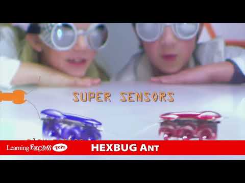 Hexbug Micro Ant