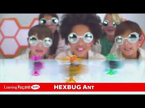 Hexbug Micro Ant