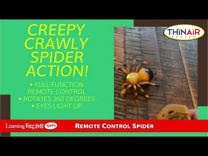 Rc Spider Brown