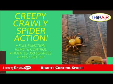 Rc Spider Brown