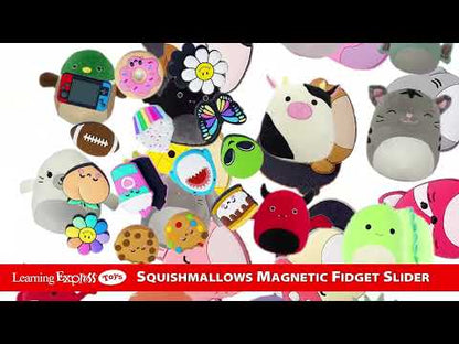 Sliders Squishmallows