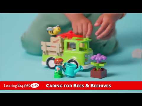 Caring for Beehives