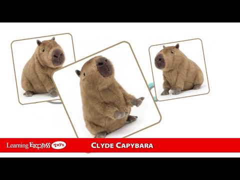 Clyde Capybara