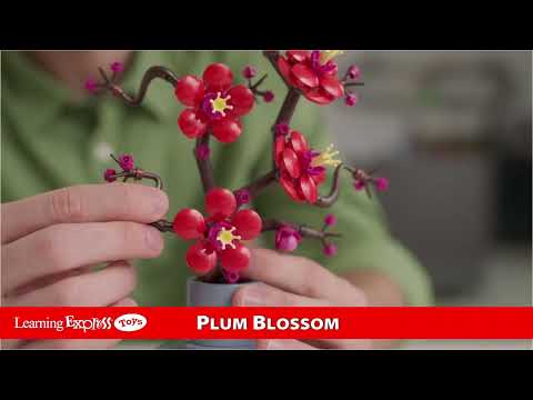 Plum Blossomcals Icons 2