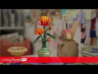 Chrysanthemum Botanical