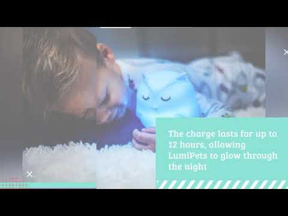 Lumipets® Bear with Remote - Children's Nursery Touch Night Light