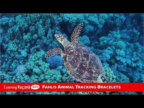 Keystone Giraffe Bracel