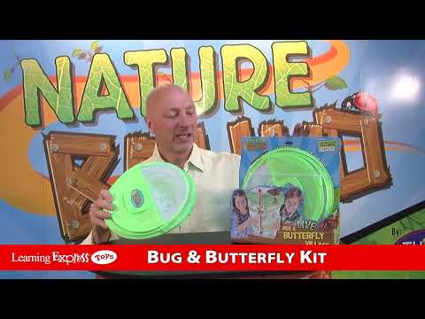 Bug Butterfly Village
